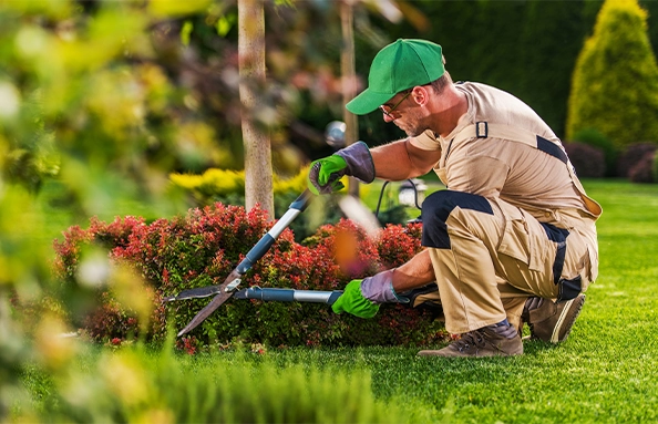 Humuforte Professional