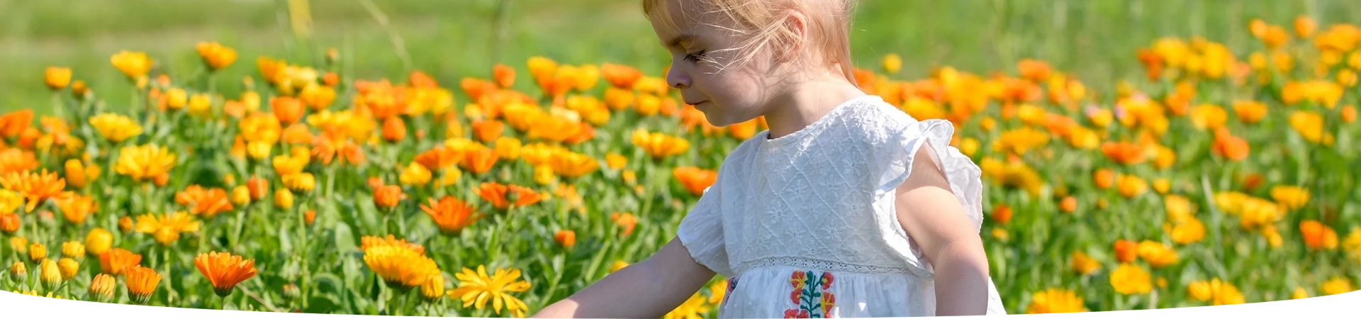 De natuur als leermeester