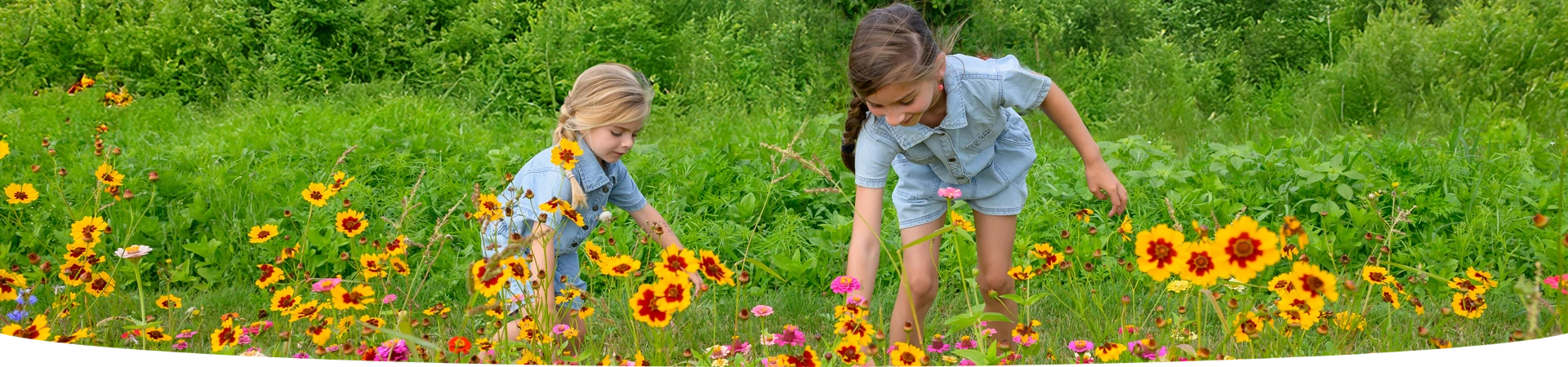 De natuur als leermeester